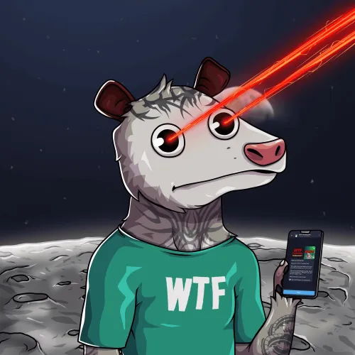 WTF Opossum #979