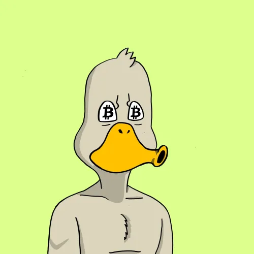 Duck #7986