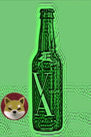 VA SHIBA BIER