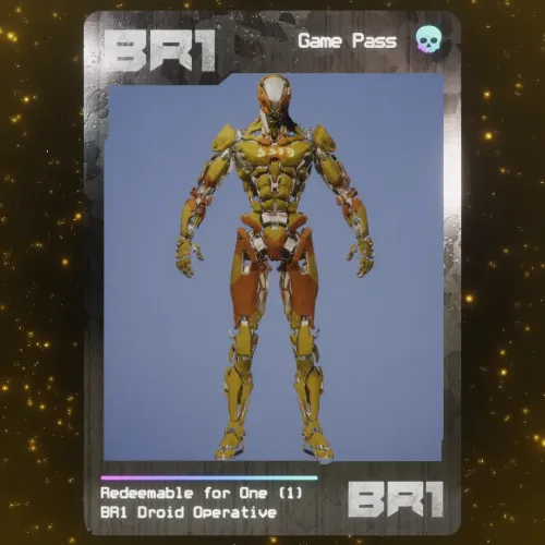 BR1 Character #3589