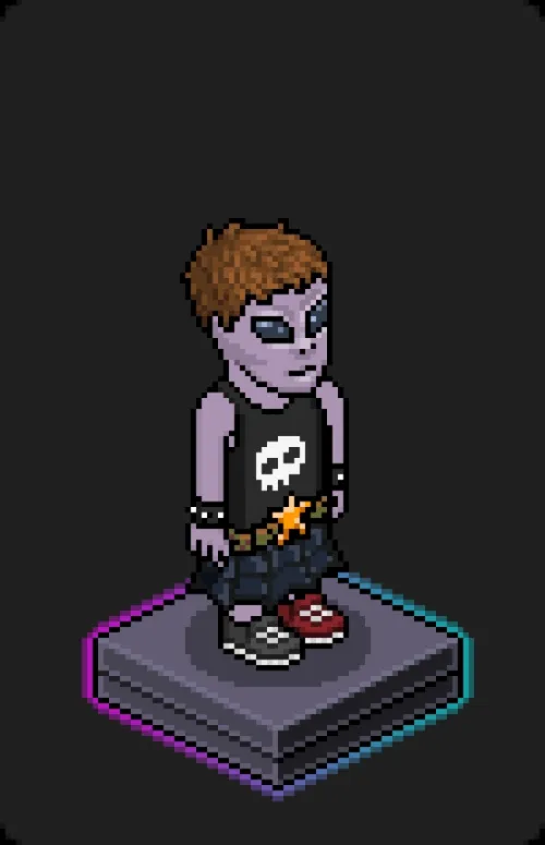 Habbo Crafted Avatar #1689