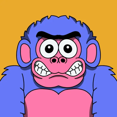 |Hedz| Kong Ding Dong #288