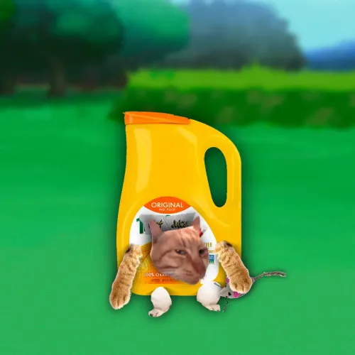 Cat Juice #801