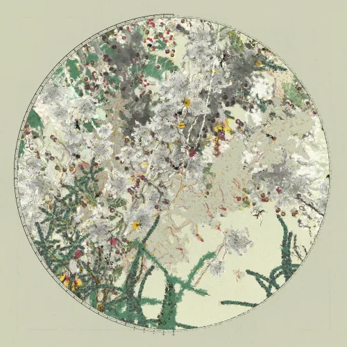 Polypaths | 植徑集 #222