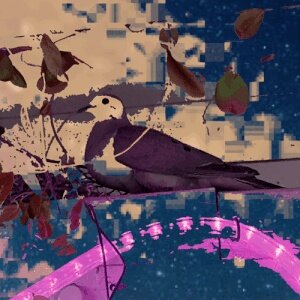 The Surrogate Dove #196551