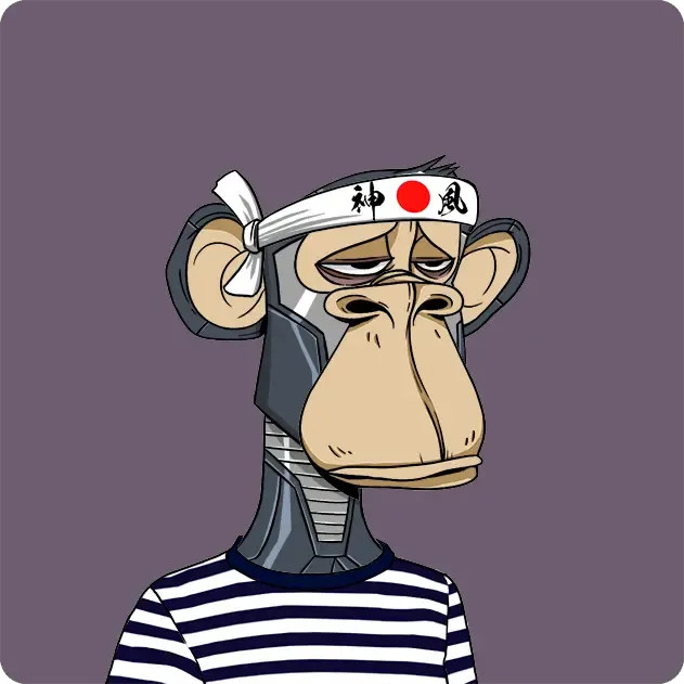 zkSync BORED APES #984