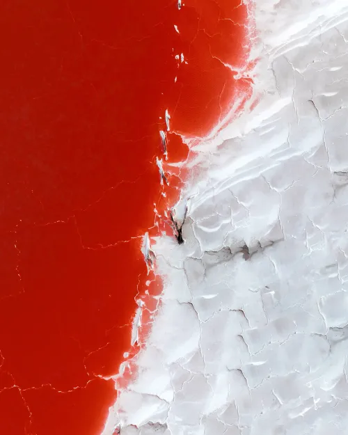 The Edge Of Colour #31