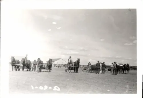 Teams and Wagons, Rosebud Sioux #397