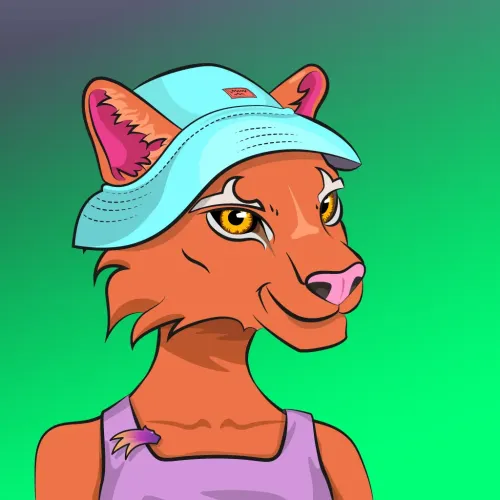Puma #26312