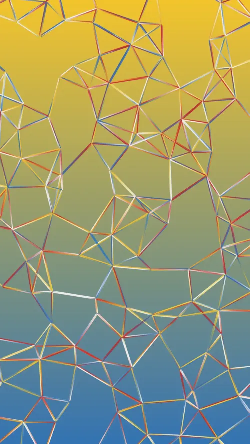 NetworkC #6000030