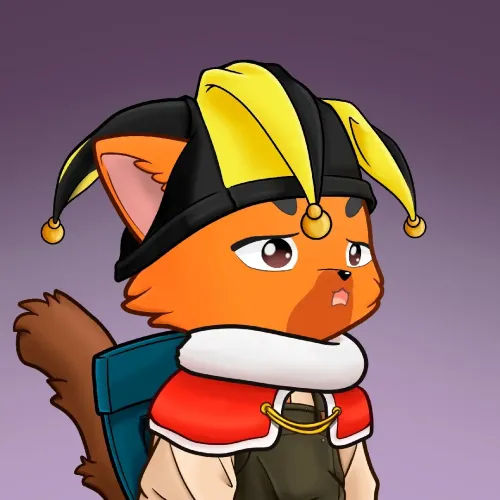 Racoonk #570