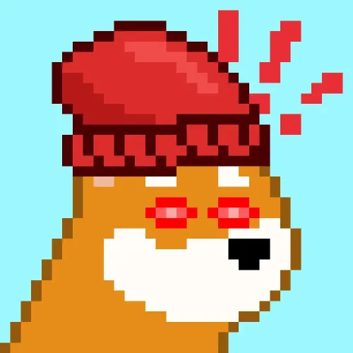 BONK on SOL #6210