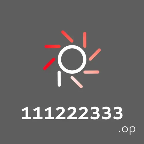 111222333.op