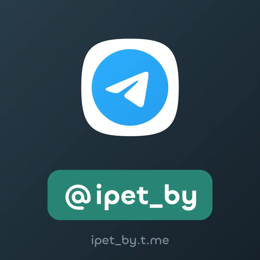 Telegram Usernames