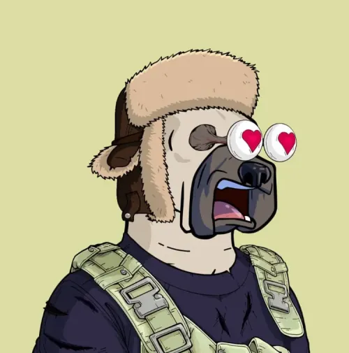 Crazy DOG 10 #7