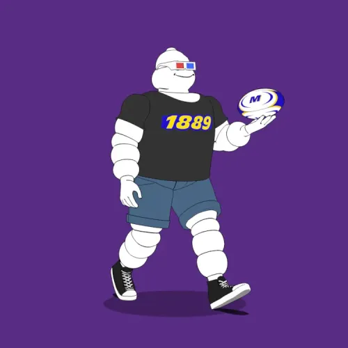 Michelin 3xplorer #895