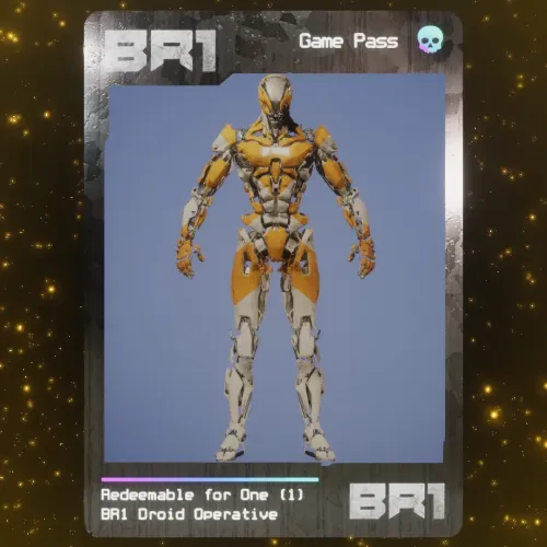 BR1 Character #8674