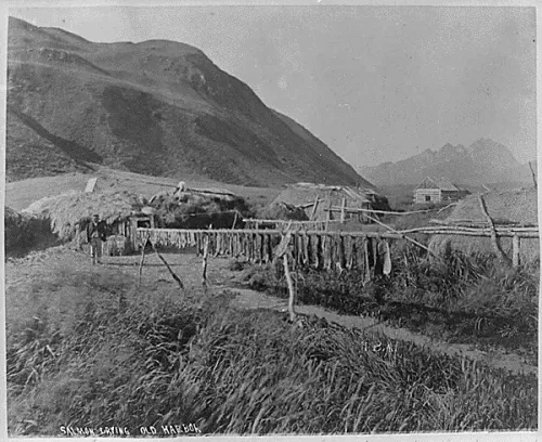 Salmon drying. Aleut village, Old Harbor, Alaska #68