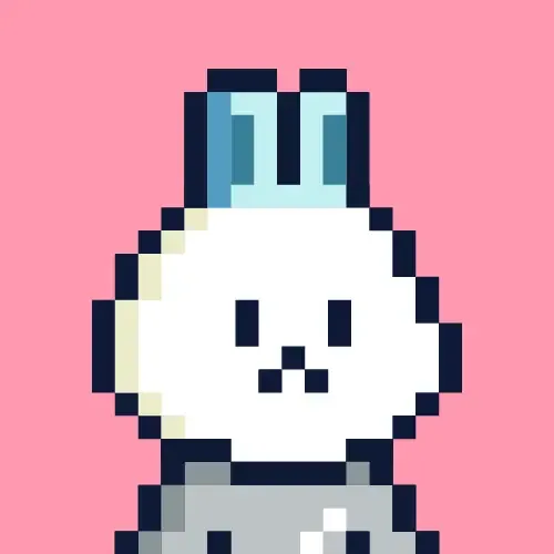 Rabbit #8904