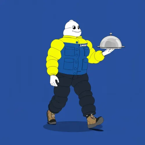 Michelin 3xplorer #2123