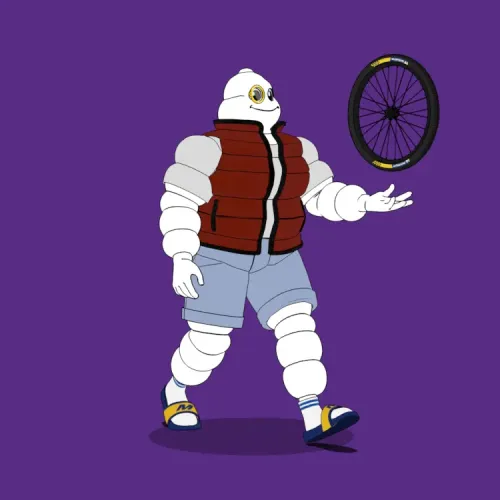 Michelin 3xplorer #1667