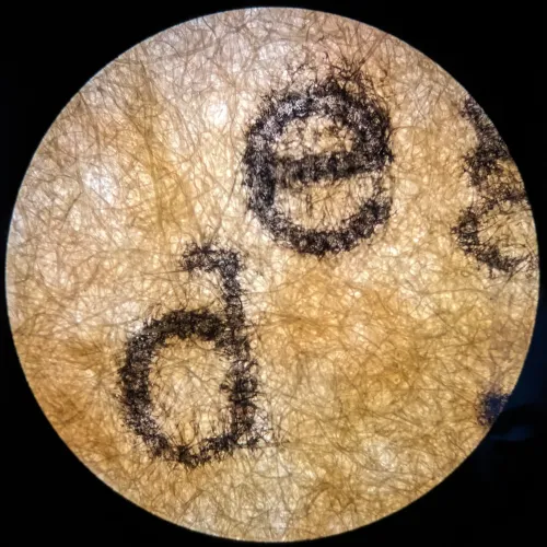 Microtype #04
