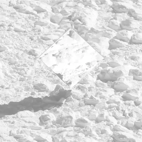 GenesisofNarcissus #5400010008