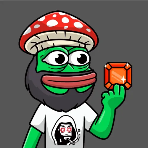 #53564625