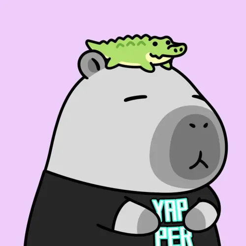 Yapybara #935