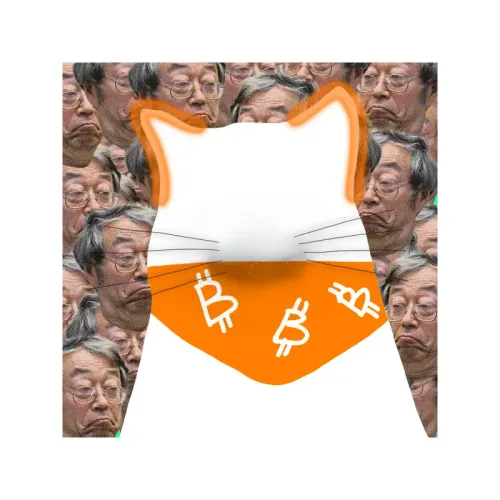 #53787678