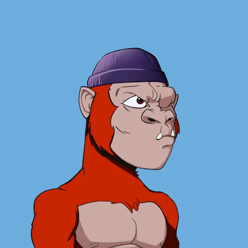 Kong #6523
