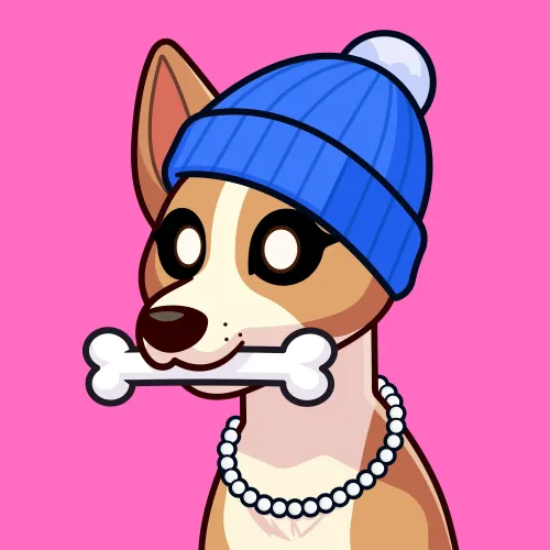 Basenji #2565