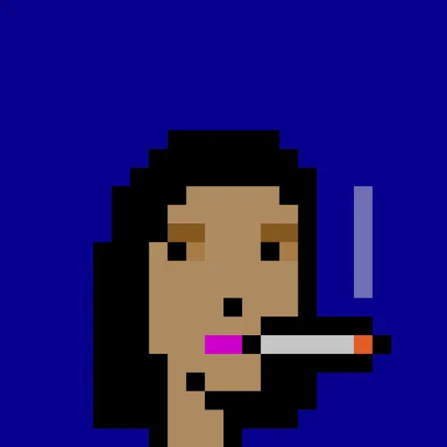 BRC 2.0 PUNK #4343 (#100773787)