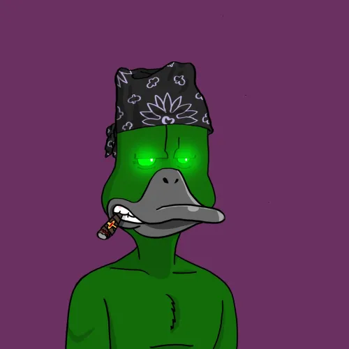 Duck #6549
