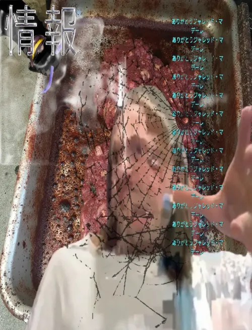 DiJared