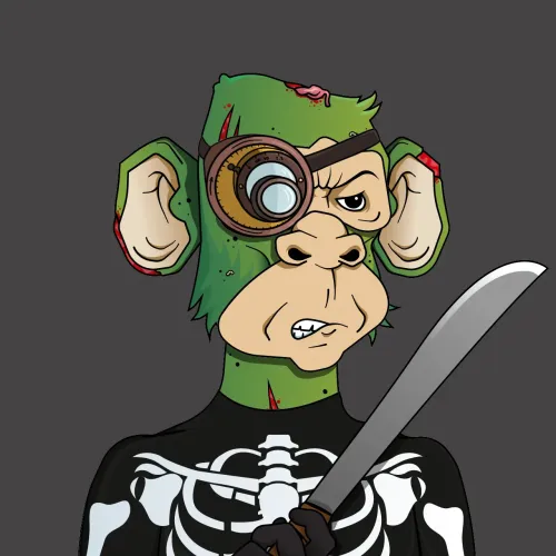 Monkey #1564
