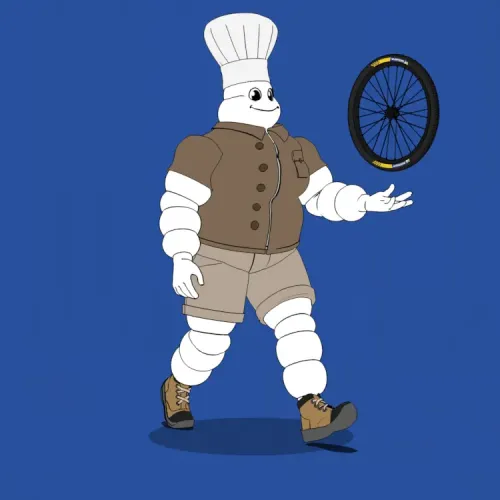 Michelin 3xplorer #353