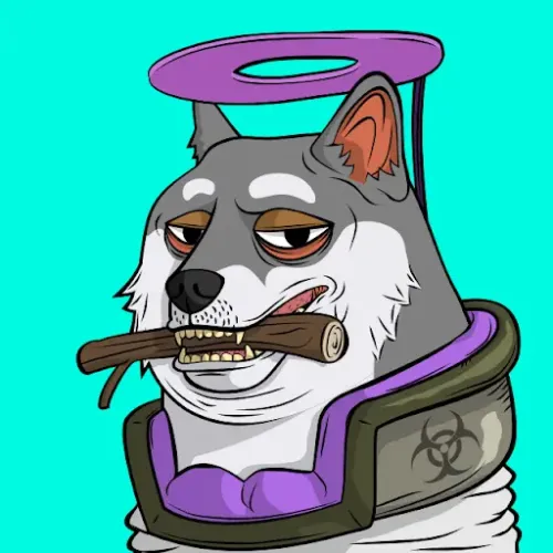 DOGGY #1067