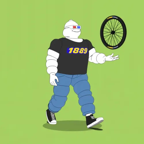 Michelin 3xplorer #862