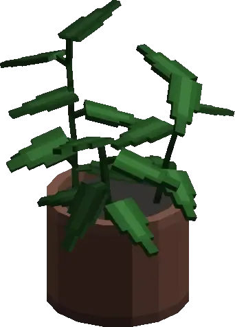 Casino Plant 02
