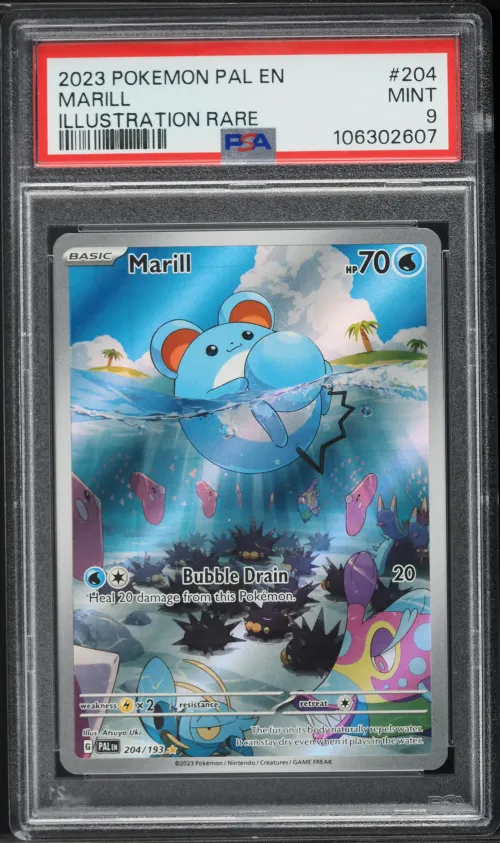 2023 #204 Marill PSA 9 Pal EN-Pa