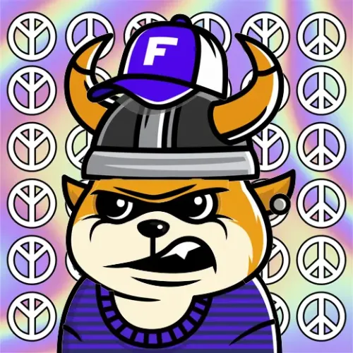 Flokitar- #503