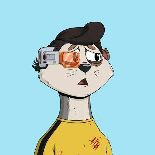 Worried Meerkat #486