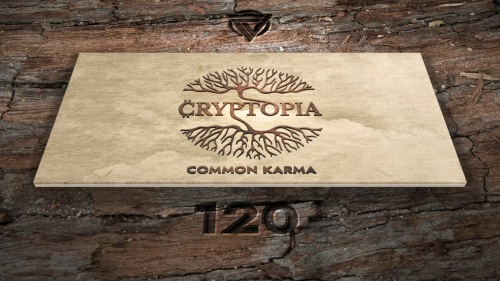 Cryptopia KARMA NFTs #120