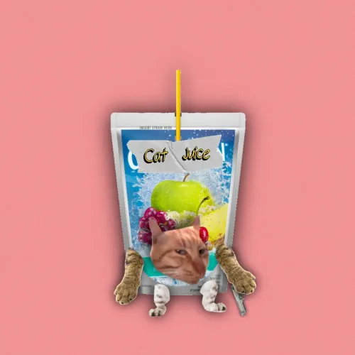 Cat Juice #257