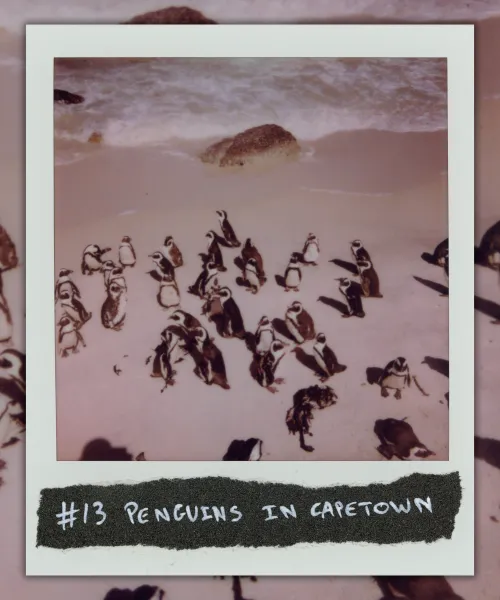 #13