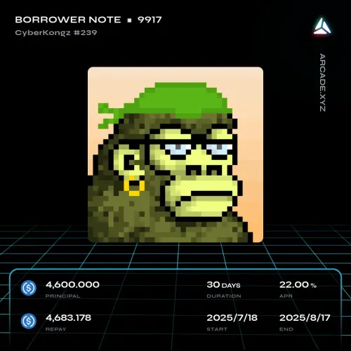 Arcade.xyz Borrower Note #9917