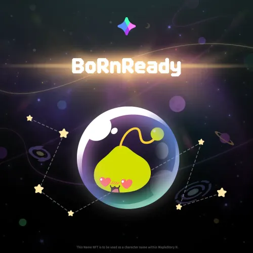 BoRnReady