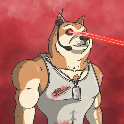 Doge Army #311