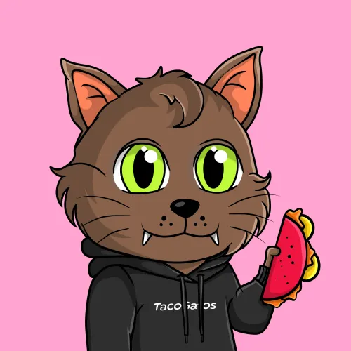 Taco Gato #386